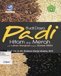 Budi Daya Padi Hitam Dan Merah